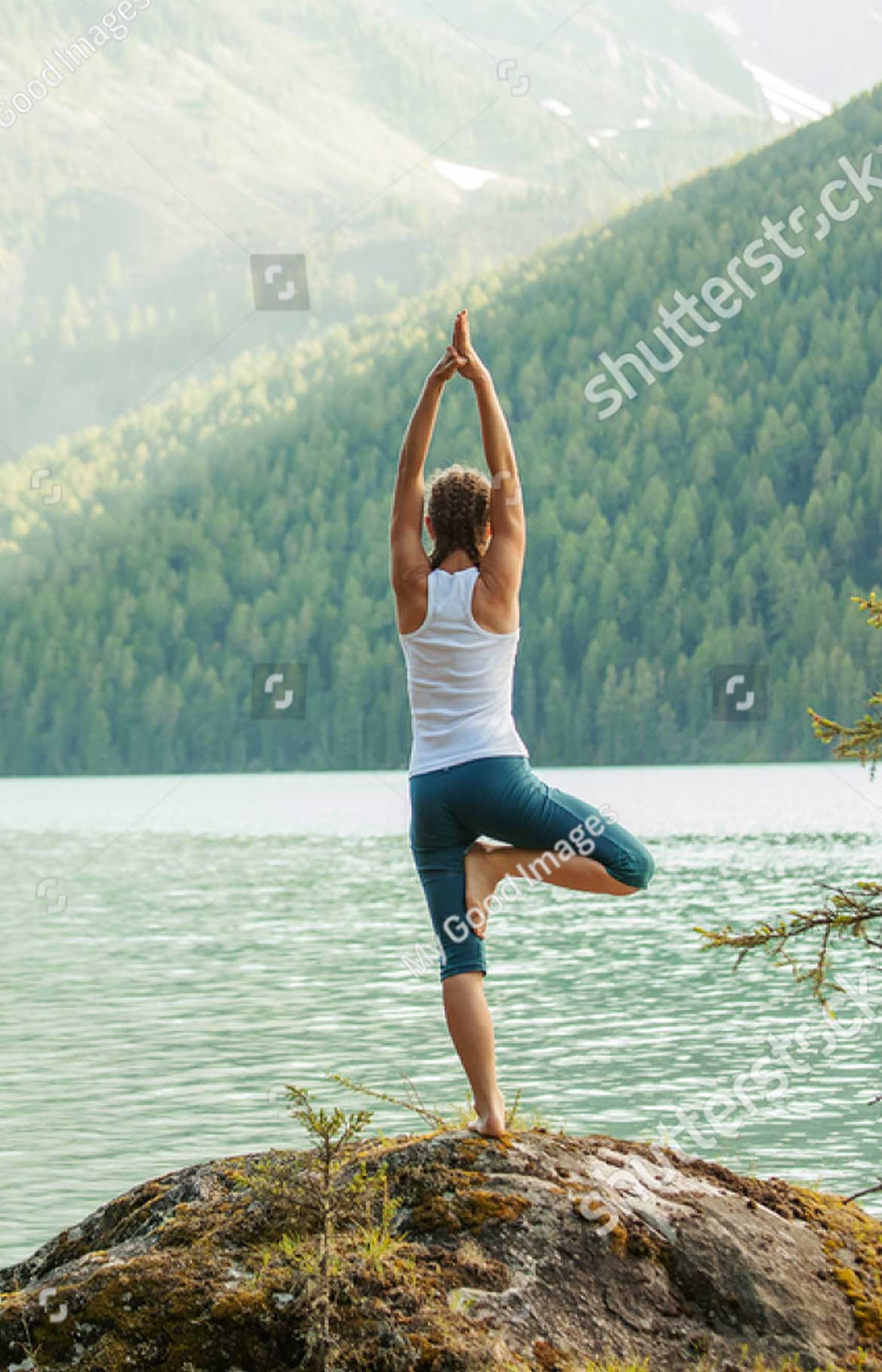 Cras tristique purus non lacus Cras tristique purus non lacus